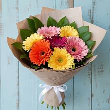 Букет цветов из:  Герберы #REPLACE_PRED# Блечепсин