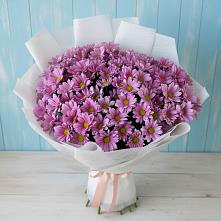 Букет цветов из:  Хризантемы в Блечепсин