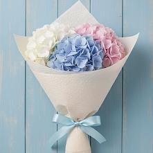 Букет цветов из:  Гортензия #REPLACE_PRED# Блечепсин