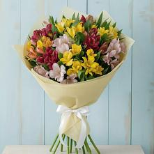 Букет цветов из:  Альстромерии в Блечепсин