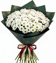 Букет цветов из:  Хризантемы #REPLACE_PRED# Блечепсин