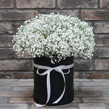 Цветочная композиция из Гипсофила в шляпной коробке #REPLACE_PRED# Блечепсин