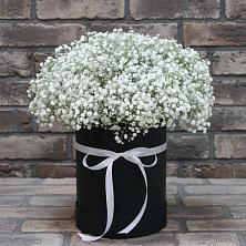 Цветочная композиция из Гипсофила в шляпной коробке в Блечепсин