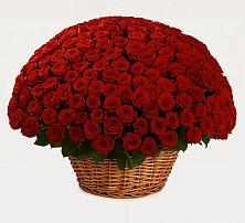 Премиум букет из: Розы в Блечепсин