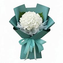 Букет цветов из:  Гортензия в Блечепсин